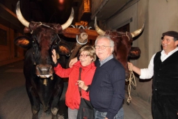 Calatafimi - Segesta490.JPG